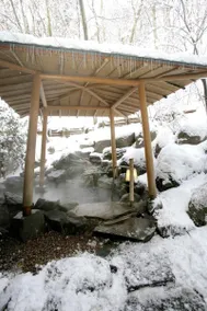 Seikanso - Image 3