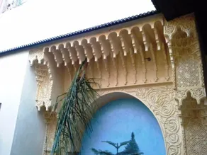 Riad Boutouil - Image 4