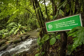 La Tigra Rainforest Lodge - Image 3