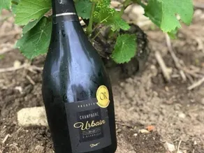Champagne Urbain - Image 3