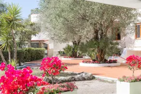 li Cylentos - Image 4