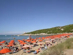 Hotel D'Amato - Image 4