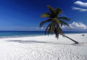 Jade Tulum - Image 4