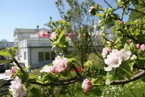 Berliner Bär - Image 3