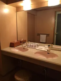 Ibusuki Seaside Hotel - Image 5