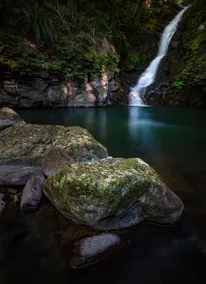 Binna Burra Lodge - Image 4