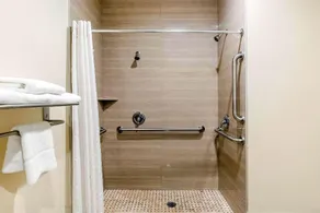 Econo Lodge Inn & Suites Houston Willowbrook - Image 3