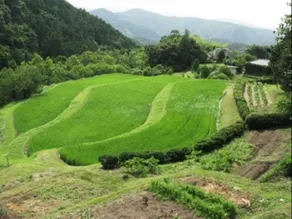 Yagyu no Sho - Image 4