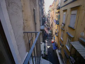 B&B Pisadog - Image 2