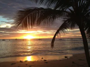 Sunswept Beach - Image 2