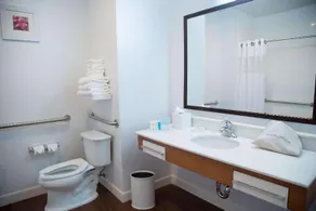 Hampton Inn and Suites McKinney TX - Image 3