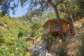 Gunes Holiday - Image 5