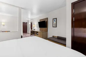 Comfort Suites - Image 4