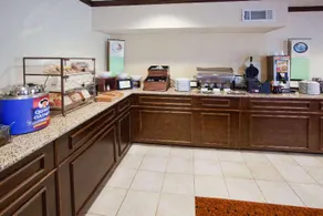 Country Inn & Suites By Carlson, Rome, GA - Image 2