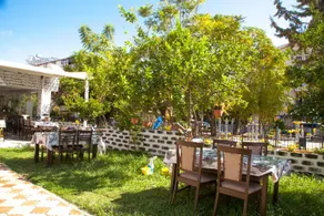 Orfeus Armin Ex Nergos Garden - Image 4