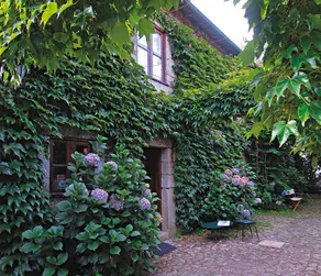 Quinta da Picaria - Image 2
