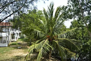 Suwaya Villa - Image 5