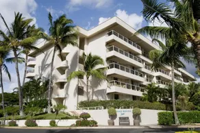 Maui Banyan - Image 4