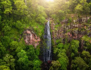 Binna Burra Lodge - Image 3