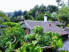 Finca El Lance - Image 5