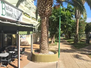 Bahia Playa - Image 2