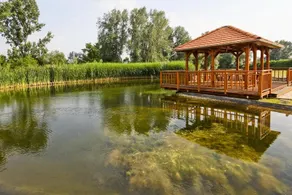 Vis Vitalis Medical Wellness Hotel - Image 4