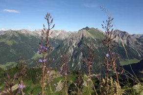 Sport- & Familienhotel Riezlern - Image 4