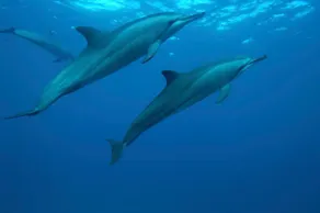 Pousada Do Biu - Image 3
