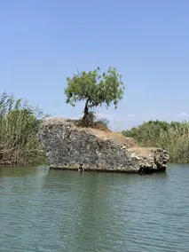 The River House - Image 5