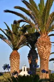 Astir Of Paros - Image 2