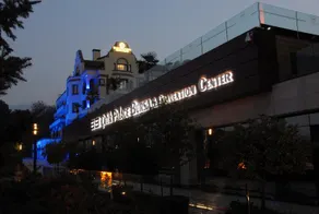 Celik Palas Convention Center & Thermal Spa - Image 4