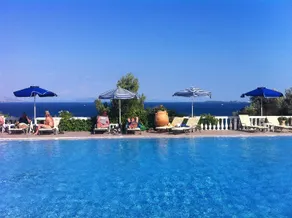 Nautilus Barbati - Image 3