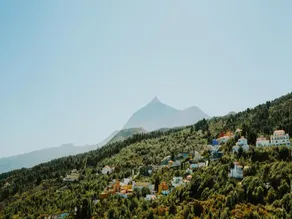 Finca El Lance - Image 2