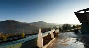 Bouganville - Image 3
