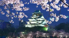 Tanimachi LUXE Hotel - Image 5