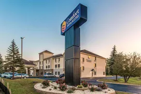 Comfort Inn and Suites North Aurora - Naperville - Image 2