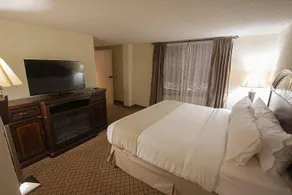Holiday Inn Hotel and Suites Huntington Civic Aren - Image 4
