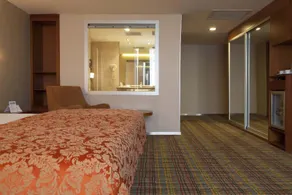 Houston - Image 4