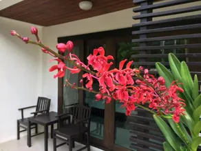 Ampha Place Hotel - Image 3