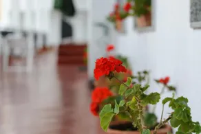 Hotel La Terraza - Image 5