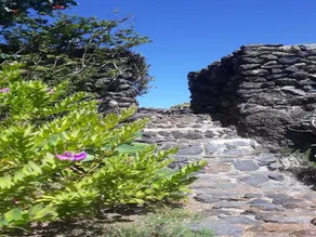 Finca El Lance - Image 4