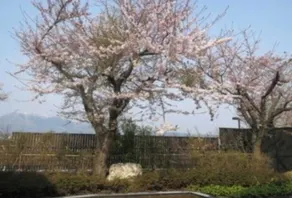 Mutsu Grand Hotel - Image 4