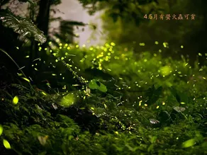 Beauty Art Guest House - Image 4