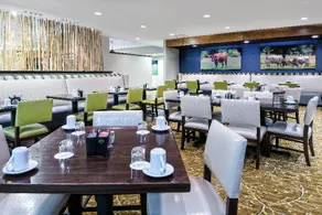 Holiday Inn Hotel Dallas DFW Airport West - Image 4