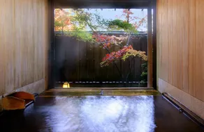 Seikanso - Image 2