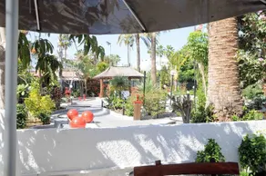 San Valentin & Terraforpark - Image 3