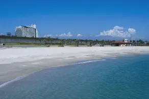 Sheraton Grande Ocean Resort - Image 5
