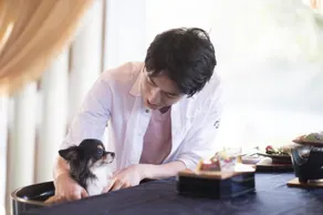 Izumigo Izukogen Dog Paradise Hotel - Image 2