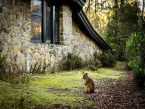 Cradle Mountain Holiday & Caravan Park - Image 4