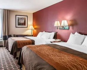 Comfort Inn Edmund Pettus Bridge area - Image 2